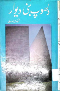 Image of دھوپ بنی دیوار