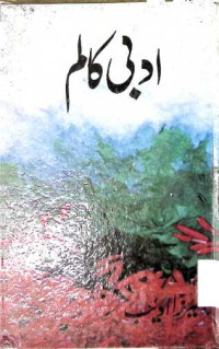 Image of ادبی کا لم