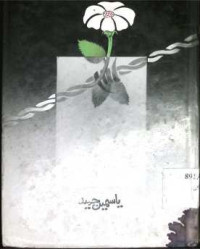 Image of پس آئینہ