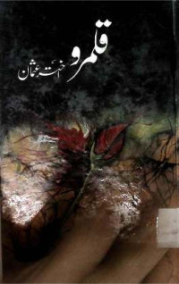 Image of قلمرو
