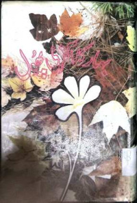 Image of بہار کا آخری پھول