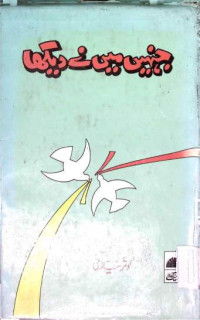 Image of جنہں میں نے دیکھا