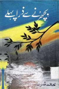 Image of بچھڑنے سے ذرا پہلے