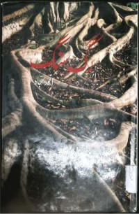 Image of رگ سنگ