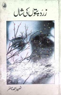Image of زرد پتوں کی شال