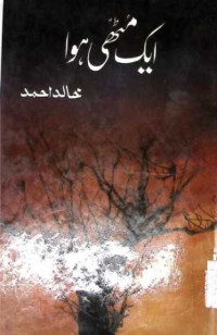 Image of ا یک مٹھی ہو ا