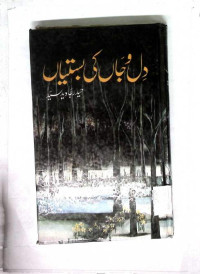 Image of دل وجاں کی بستیاں