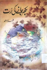 Image of بکھر جانے کی رت