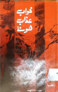 Image of خواب عذاب ہوئے