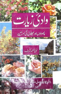 Image of وادی زیارت