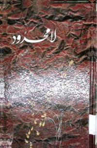 Image of لا محدود
