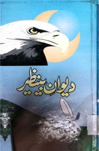 Image of دیوان بینظیر
