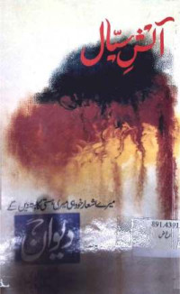 Image of آتش سیال