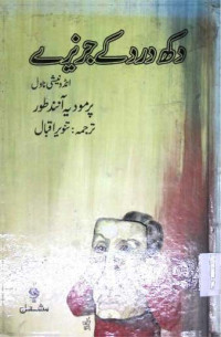 Image of دکھ درد کے جزیرے