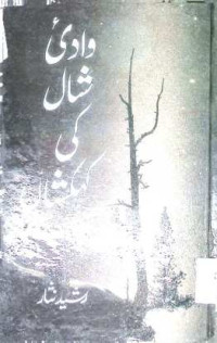 Image of دادی شال کی کہکشاں