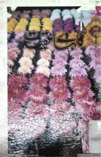 Image of گلہاےٗ عقیدت