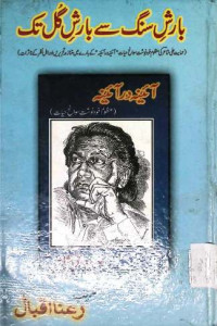 Image of بارش سنگ سے بارش گل تک