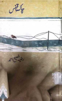 Image of چاک قفس