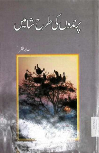 Image of پر مد وں  طر کی طر ح شا میں