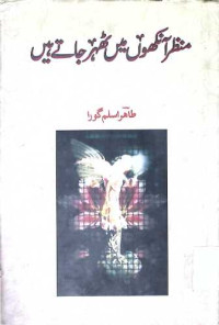 Image of منظر آنکھوں میں ٹھر جاتے ہیں