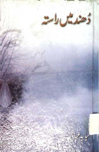 Image of دھند میں را ستہ