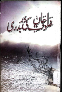 Image of خلوت جاں کی دربدری