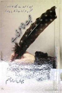 Image of محبت شاعری ہے