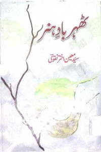 Image of ٹھہر بادہنر