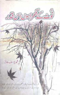 Image of ٹوٹ کے بکھرا ہوں اس قدر