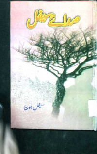 Image of صدائے سیفل