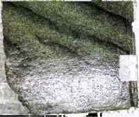 Image of تھل مارو دا پینڈا