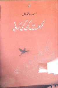 Image of ٹکڑوں میں کہی گئی کہانی