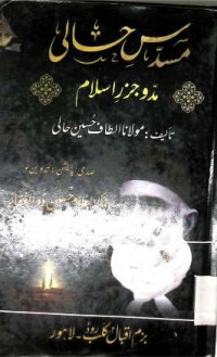 Image of مسدس حالی مدو جزر اسلام