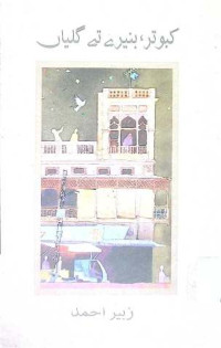 Image of کبوتر بنیرے تے گلیاں