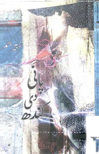 Image of پانی دی کندھ