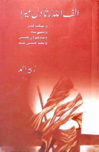 Image of الف اللہ رتا دل میرا