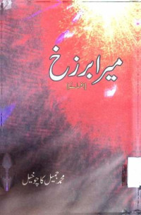 Image of میر برزخ