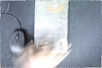 Image of پھول اور بارود