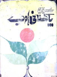 Image of سر سیدین پاکستانی ادب