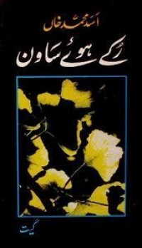 Image of رکے ہوئے ساون
