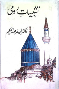 Image of تشبیہات رومی