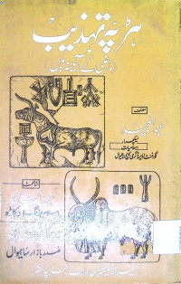Image of ہڑپہ تہذیب (ماضی کے آئینہ میں)